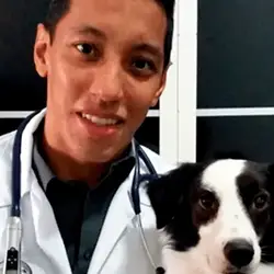 vetlife-rafael vetlife-rafael